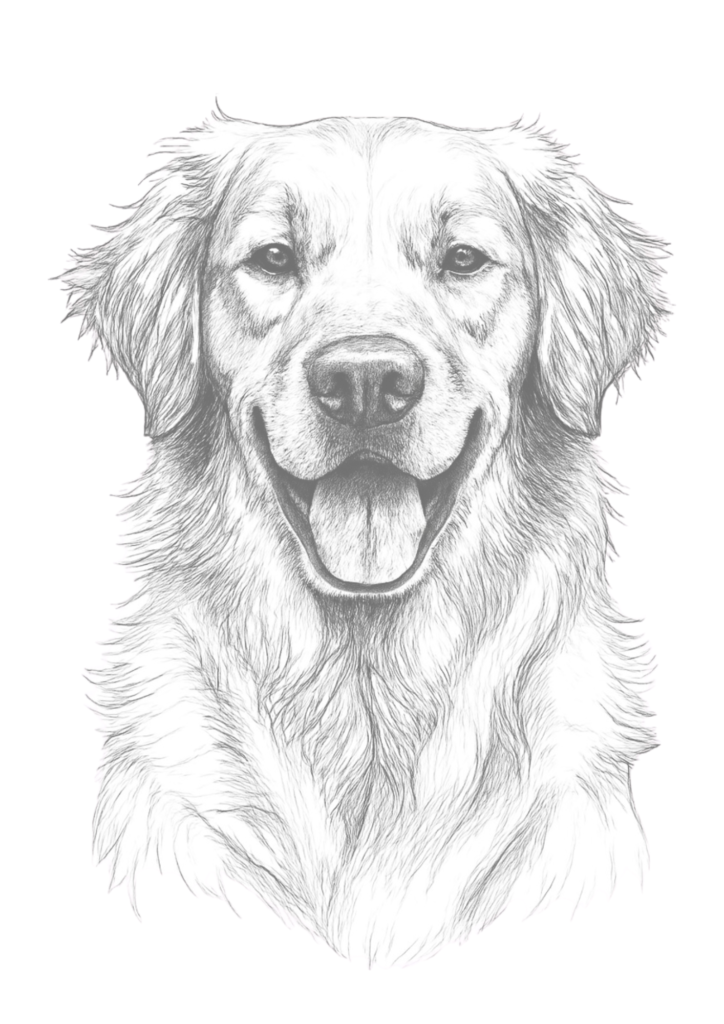 Realistic Dog coloring pages